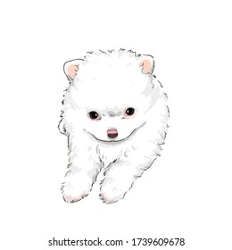 White Teacup Pomeranian Puppy Cartoon