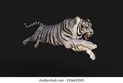 White Tiger Albino Isolated On Dark Background With Clipping Path. 3d Illustration.