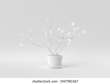 White Tree pot in white background. minimal concept idea creative. monochrome. 3D render.