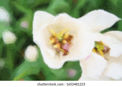 White Tulips Flowers In Overhead View.Green Dutch Garden With Exotic Spring Flower Bed Painted On Canvas Background With Watercolor Paint And Thick Brush Strokes