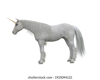 95,368 Unicorn isolated Images, Stock Photos & Vectors | Shutterstock