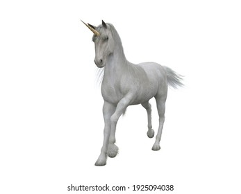 Cheval Fond Blanc Images Stock Photos Vectors Shutterstock