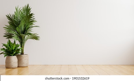 White Wall Empty Room Plants On Stock Illustration 1901532619 ...