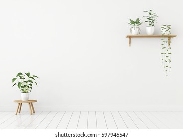 White wall mock up with green plants on shelf and stool. 3d rendering.