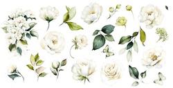 White Watercolor Arrangements With Flowers, Set, Bundle, Bouquets With Wildflowers, Leaves, Branches. Botanical Illustration