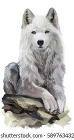 White Wolf Watercolor Painting