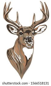 Whitetail Buck Deer Head art