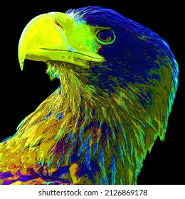The white-tailed eagle or ern, erne, gray eagle, Eurasian sea eagle and white-tailed sea-eagle[citation needed], is a large bird of prey  family  sign illustration pop-art background icon