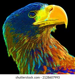 The white-tailed eagle or ern, erne, gray eagle, Eurasian sea eagle and white-tailed sea-eagle[citation needed], is a large bird of prey  family  sign illustration pop-art background icon