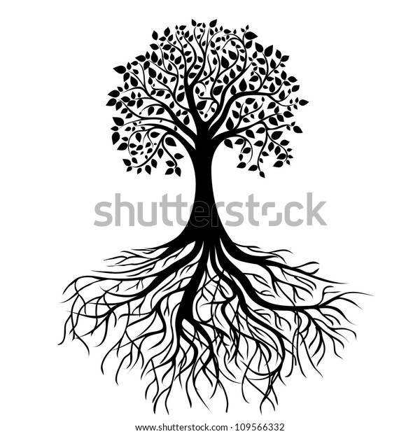 Whole Black Tree Roots Isolated White Stock Illustration 109566332