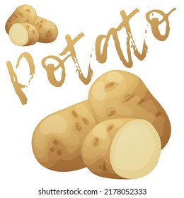 Whole And Half Potato Vegetable. Cartoon Icon Isolated On White Background