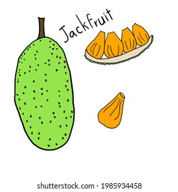 Whole Jackfruit And Sliced On White Background.