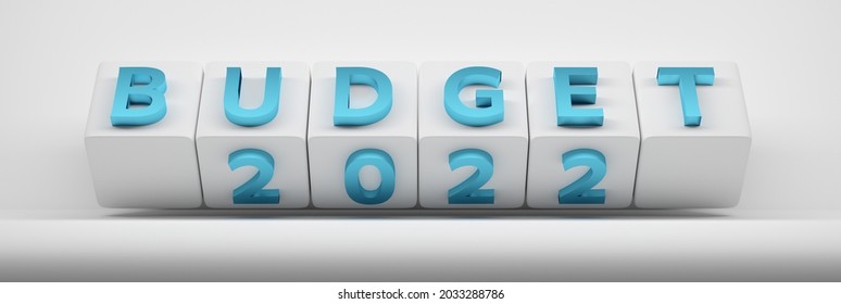 Wide Banner With Cubes And Word Budget 2022. 3d Illustration.