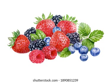 Wild Berries Composition Watercolor Illustration Isolated On White Background