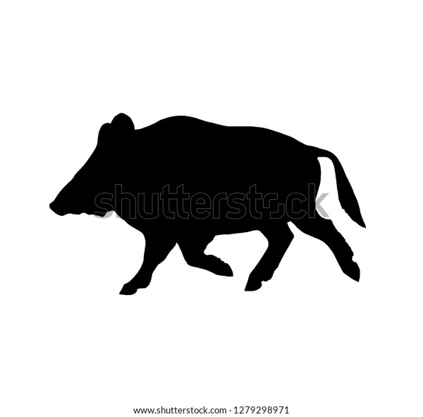 boar silhouette