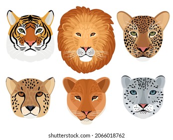 Wild Cat Head Set. Hunting Trophy, Lion And Tiger, Leopard And Snow Leopard, Cheetah Front Face Of Wildcats, Illustration Of Aggressive Beasts Heads Isolated On White Background