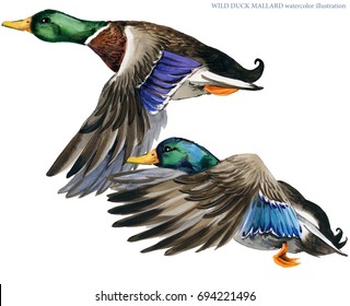 Hunting season Images, Stock Photos & Vectors | Shutterstock