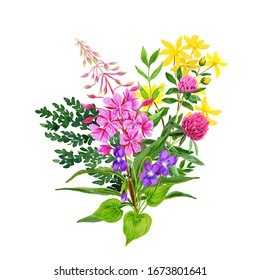 Wild Flowers Bouquet, Fireweed Clover And St Johns Wort, Hand Drawn Watercolor Arrangement.