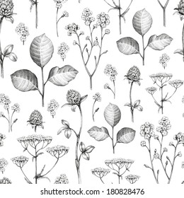 Wild flowers drawing 