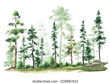 Wild Forest landscape. Hand drawn watercolor illustration,  isolated on white background - Powered by Shutterstock