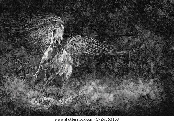 Wild horse run. Digital painting