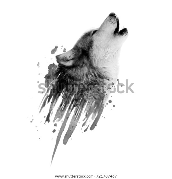 野生のオオカミのイラスト 動物の印刷 のイラスト素材