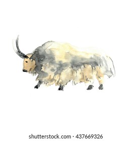 Wild Yak. Watercolor Painting On Paper Background.