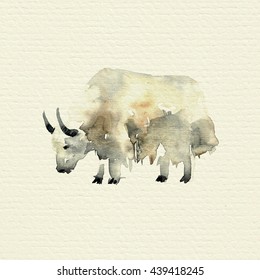 Wild Yak. Watercolor Painting On Paper Texture Background.