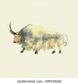 Wild Yak. Watercolor Painting On Paper Texture Background.