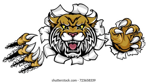 Wildcat Mascot Stock Photos Images Pictures Wildcat Mascot Stock Photos Images Pictures