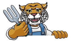 A Wildcat Gardener Cartoon Gardening Animal Mascot Holding A Garden Fork Tool Peeking Round A Sign
