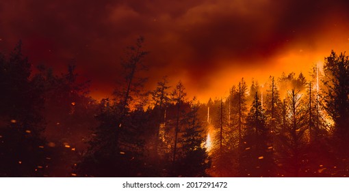 Wildfire burning through a forest. high contrast image.  Illustration with 3D Elements