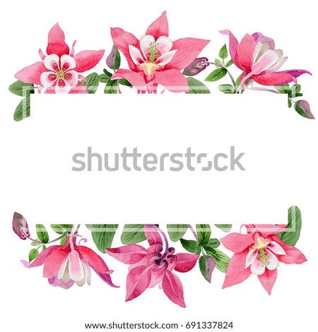 Similar – Beautiful exotic flower frame on white