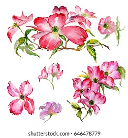 Dogwood Watercolor Images, Stock Photos & Vectors | Shutterstock