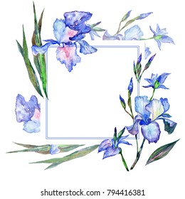 Wildflower iris  flower frame in a watercolor style. Full name of the plant: iris. Aquarelle wild flower for background, texture, wrapper pattern, frame or border.