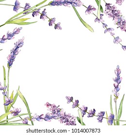 8,431 Lavender Border Watercolor Images, Stock Photos & Vectors ...