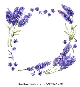 Wildflower Lavender Flower Frame In A Watercolor Style Isolated. Full Name Of The Plant: Lavender. Aquarelle Wild Flower For Background, Texture, Wrapper Pattern, Frame Or Border.