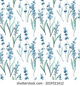 Wildflower Lavender Flower Pattern In A Watercolor Style. Full Name Of The Plant: Lavender. Aquarelle Wild Flower For Background, Texture, Wrapper Pattern, Frame Or Border.