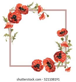 Wildflower Poppy Flower Frame Watercolor Style Stock Illustration ...