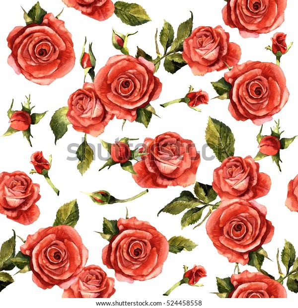 野花玫瑰花图案在水彩风格隔离 植物的全名 红玫瑰 绿色 罗莎 水瓶野生花卉背景 纹理 包装图案 框架或边框 库存插图