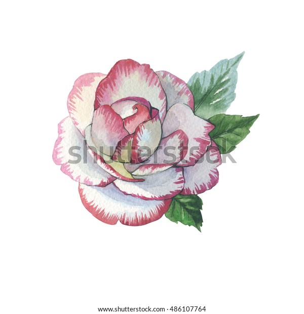 Wildflower Rose Flower Tattoo Watercolor Style Stock Illustration