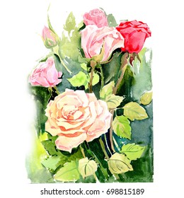 Watercolor Flower Bouquet Vase Roses Floral Stock Illustration 1435629992
