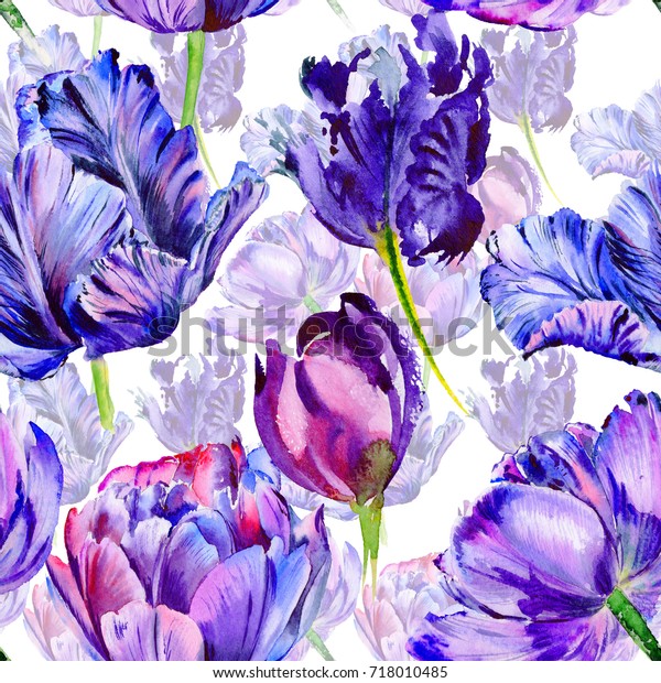 Wildflower tulip flower pattern in a watercolor style. Full name of the plant: purple tulip. Aquarelle wild flower for background, texture, wrapper pattern, frame or border.