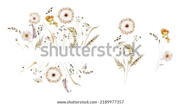 Wildflowers, Herbs Boho Bouquet Painted In Watercolor Dried Pampas