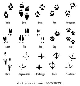 Wolf-track Images, Stock Photos & Vectors | Shutterstock