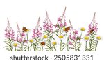 willowherb, fireweed daisies and butterflies, field flowers, watercolor drawing wild plants at white background, floral elements, hand drawn botanical illustration