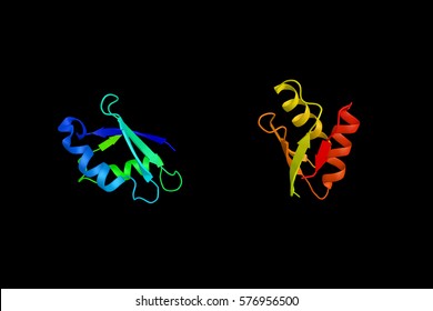 Wilson Disease Protei, Which Balances The Copper Level In The Body By Excreting Excess Copper Into Bile And Plasma. Genetic Disorder Of The ATP7B Gene May Cause Wilson's Disease. 3d Rendering.