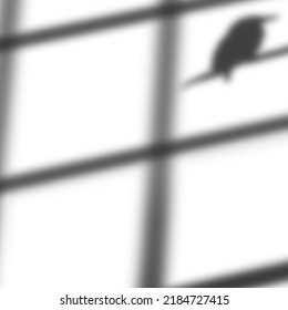 Window Frame With Bird On The Brunch Shadow Overlay Effect, Blurred Photo Realistic Illustration, Isolated On The White Background.