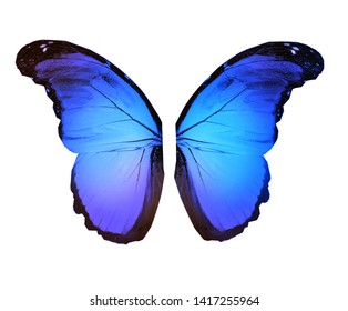 Wings Color Butterfly Isolated On White Stock Illustration 1417255964 ...