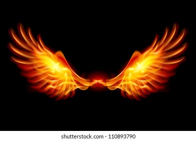 Wings in Flame and Fire. Illustration on black